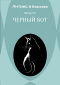 Черный кот