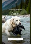 Сказки и&nbsp;фантастические истории. Книга&nbsp;13