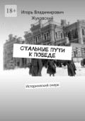 Стальные пути к&nbsp;Победе. Исторический очерк
