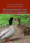Выращивание уток на&nbsp;даче и&nbsp;в&nbsp;деревне