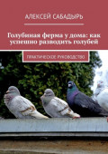 Голубиная ферма у&nbsp;дома: как успешно разводить голубей. Практическое руководство