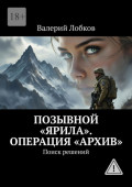 Позывной &laquo;Ярила&raquo;. Операция &laquo;архив&raquo;. Поиск решений