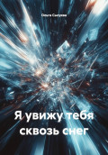 Я увижу тебя сквозь снег