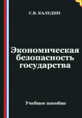 Экономическая безопасность государства