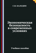 Экономическая безопасность в современных условиях