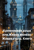 Кремниевая душа или Живое железо. Живая сталь. Книга 1