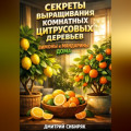 Секреты выращивания комнатных цитрусовых деревьев лимоны и мандарины дома