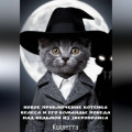 Новое приключение котёнка Велеса и его команды: победа над Ведьмой из Зверополиса