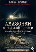 &laquo;Амазонки&raquo; с большой дороги: Хроника семейного безумия на трассе М-4