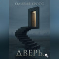 Дверь