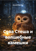 Сова Стеша и волшебные камешки