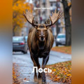 Лось