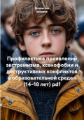 Профилактика проявлений экстремизма, ксенофобии и деструктивных конфликтов в образовательной среде&raquo; (14&ndash;18 лет)