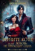 Верните кота, или Любовь не приходит одна