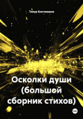 Осколки души (большой сборник стихов)