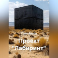Проект "Лабиринт"