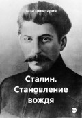 Сталин. Становление вождя