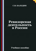 Ревизорская деятельность в России