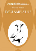 Гуси лапчатые