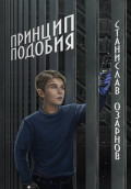 Принцип подобия