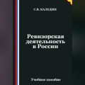 Ревизорская деятельность в России