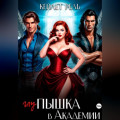 Глупышка в Академии