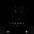 Собака