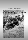Товарищ&nbsp;Миша
