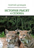 История рысят. 4&nbsp;сезона