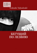 Бегущий по&nbsp;лезвию