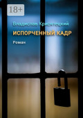 Испорченный&nbsp;кадр. Роман