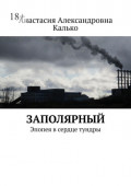 Заполярный. Эпопея в&nbsp;сердце тундры