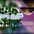 Биосурфактанты, что это за &laquo;ЗВЕРЬ&raquo;?