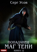 Попаданец. Маг Тени. Книга 12
