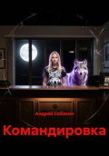 Командировка