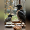 Кухня без оценок 14: Компот для тёщи