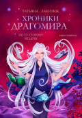 Хроники Драгомира. Книга 4. По ту сторону бездны