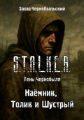 Сталкер. Тень Чернобыля. Наёмник, Толик и Шустрый