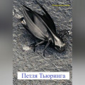 Петля Тьюринга