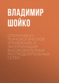 Оперативно-технологическое управление и эксплуатация высоковольтных распределительных сетей