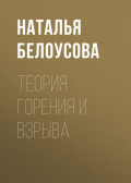 Теория горения и взрыва