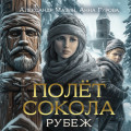 Полет сокола. Рубеж