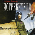 Мы &ndash; истребители