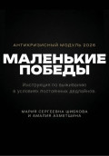 Маленькие победы
