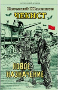 Чекист. Новое назначение