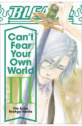 Bleach. Can't Fear Your Own World. Volume 3