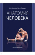Анатомия человека. Учебник