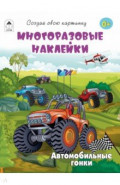 Автомобильные гонки