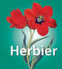 Herbier