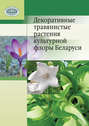 Декоративные травянистые растения культурной флоры Беларуси